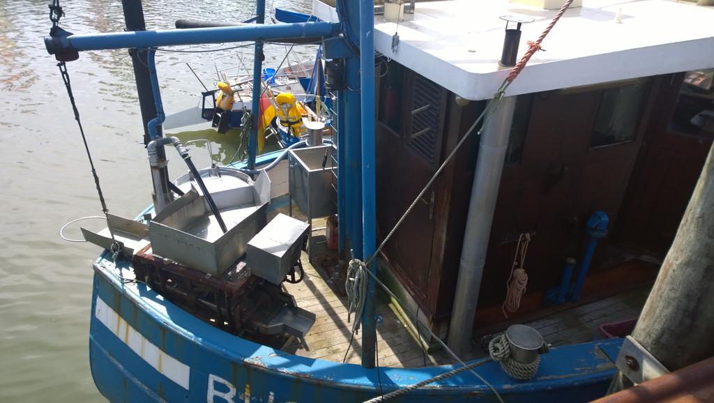 Blauort12 Διαμέρισμα Büsum Δωμάτιο φωτογραφία